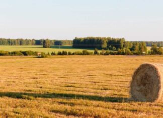 I vantaggi della certificazione Iso 22005 certificazione Iso 22005