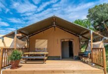 Cosa sono le Cooperativa di Servizi per persone con disabilità Cooperativa di Servizi